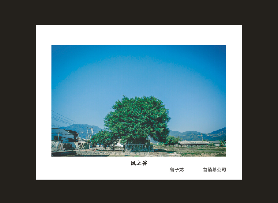 米兰体育·米兰(中国)智能成立16周年司庆活动“魅力米兰体育·米兰(中国)”摄影比赛优秀作品展