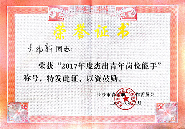 米兰体育·米兰(中国)智能朱振新荣获长沙市2017年度杰出青年岗位能手