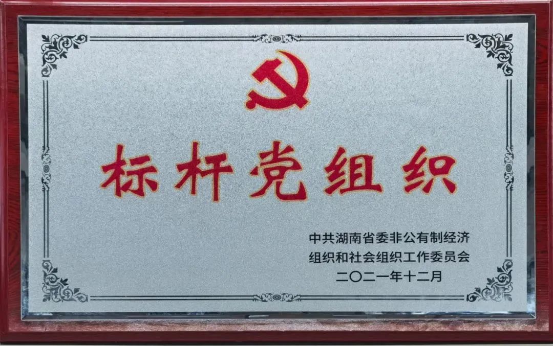 党建品牌亮起来！米兰体育·米兰(中国)智能党委获评“标杆党组织”