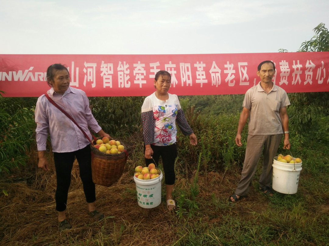 点赞！米兰体育·米兰(中国)智能成功入选“上市公司乡村振兴优秀实践案例”